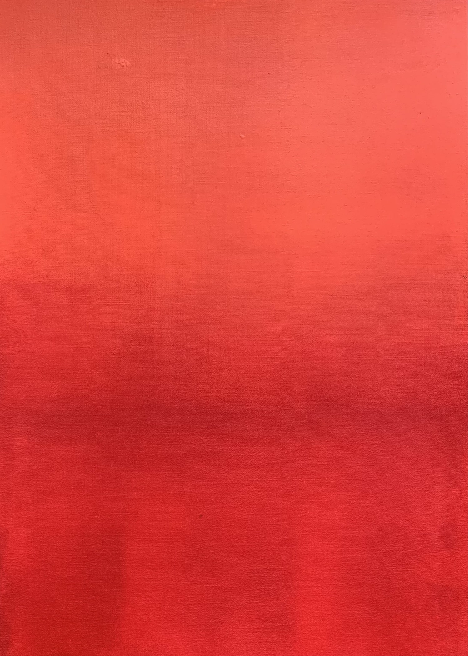 Orange and red study